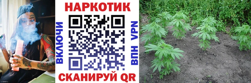 Где купить Брюховецкая МАРИХУАНА  Галлюциногенные грибы  ГАШ  МЕФ  MEGA зеркало  АМФЕТАМИН 