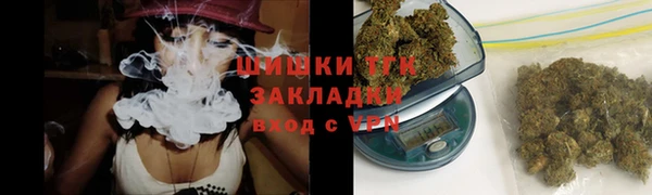 стаф Алексеевка
