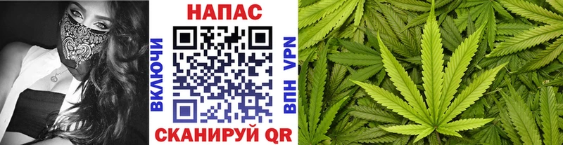 Марихуана план Брюховецкая